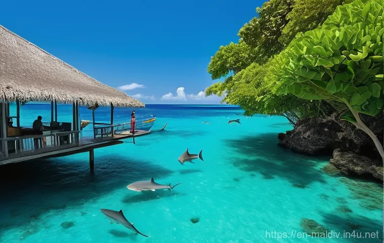 몰디브 로컬 섬 여행 - **Analyze the source text for key visual elements and themes:**
    *   **Local Island Life:** Kids ...